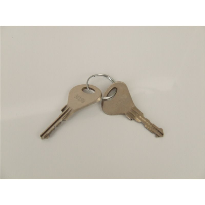 JEU DE 2 CLE POUR BARRILLET 9001.2 JEU DE 2 CLE POUR BARRILLET 9001.2